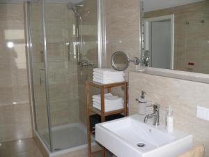 a bathroom with a shower and a sink and a mirror at Ferienwohnung Speyer in Speyer