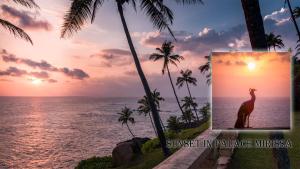 Φωτογραφία από το άλμπουμ του Palace Mirissa σε Mirissa