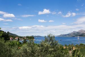 uma vista para um lago com barcos na água em Apartments Maria em Koločep