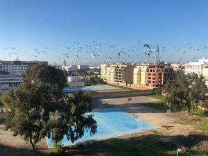 a flock of birds flying over a swimming pool at Luxury Top Floor, Casablanca Center... in Casablanca