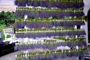 Galeriebild der Unterkunft Zielone Zacisze in Murzynowo Kościelne