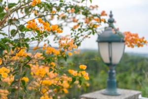 Fotografie z fotogalerie ubytování Yunlin Gukeng Da-Hu Villa B&B v destinaci Gukeng