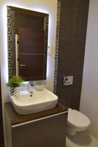 ein Bad mit einem Waschbecken und einem WC in der Unterkunft Füredi Apartman in Debrecen