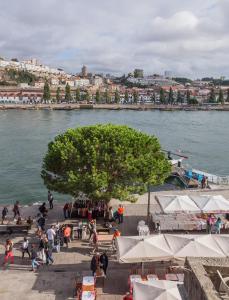 een groep mensen die onder een boom bij het water zitten bij Porto River in Porto