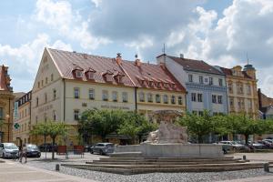 Una statua nel mezzo di una città con edifici di Hotel Česká Koruna a Děčín