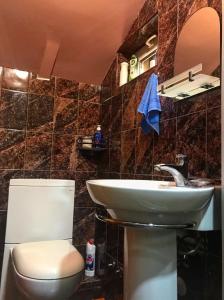 La salle de bains est pourvue de toilettes et d'un lavabo. dans l'établissement Golden House, à Tbilissi