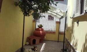 Fotografie z fotogalerie ubytování B&B A casa di Antonella v destinaci Scauri