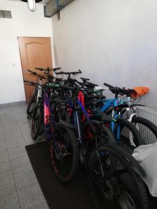 Jazda na bicykli v okolí ubytovania Pension u Lašanů