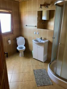 ein Bad mit einem WC, einem Waschbecken und einer Dusche in der Unterkunft Domki Green Grzybowo in Grzybowo