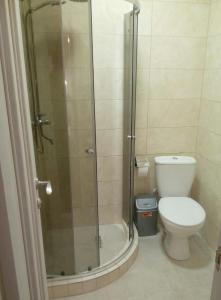 ヤブルニツァにあるCottage Palitraのバスルーム(シャワー、トイレ付)