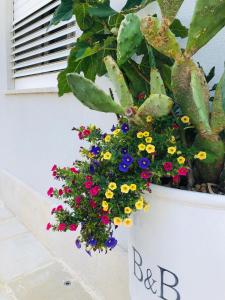 a large white pot filled with flowers and plants at Dimore di Mare in San Pietro Vernotico