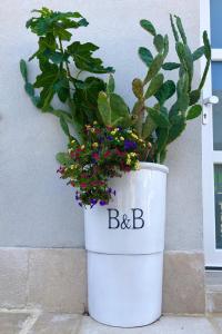 a large white pot with a plant in it at Dimore di Mare in San Pietro Vernotico
