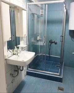La salle de bains est pourvue d'un lavabo et d'une douche. dans l'établissement Lydia Center Apartment, à Veles