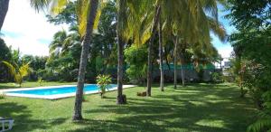 a yard with palm trees and a swimming pool at Villa Cococherie in Poste Lafayette