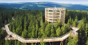 Příroda nedaleko apartmánu