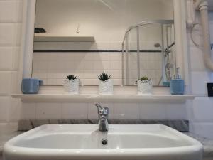 a bathroom sink with three potted plants on a shelf at Lucky House in La Spezia +26 photos