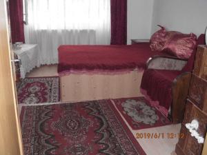 Ein Etagenbett oder Etagenbetten in einem Zimmer der Unterkunft Vila Mihaela