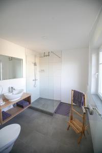 ein Bad mit einer Dusche, einem Waschbecken und einem WC in der Unterkunft Breitenberger Hof "inklusive Frühstück" in Breitenberg