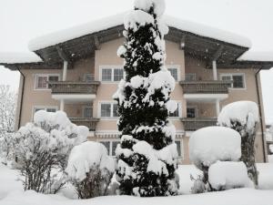 a snow covered christmas tree in front of a house at Appartements Oberhauser in Westendorf