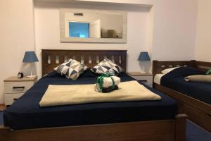 sypialnia z 2 łóżkami i lustrem w obiekcie Apartments Balkanska City Center w Belgradzie