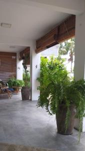 Zahrada ubytování Villa Cococherie