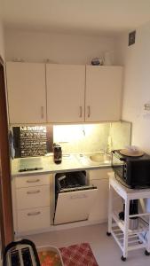 a small kitchen with white cabinets and a sink at Vier Jahreszeiten Haus 1 Whg 06 in Großenbrode