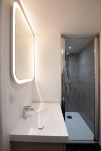 ein Bad mit einem Waschbecken und einer Dusche mit einem Spiegel in der Unterkunft Le duplex d'André - Un écrin cosy et design pour 2 in Lyon