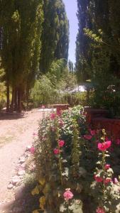 un jardín con flores rosas y un banco en Cabañas Tierra Huarpe en Uspallata
