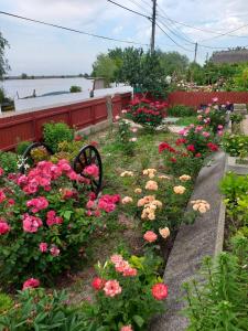Fotografie z fotogalerie ubytování Casa Calin v destinaci Crisan