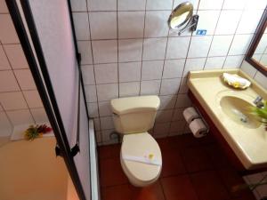 A bathroom at Hotel Rio Perlas Spa & Resort