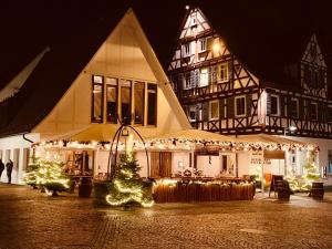 a building with christmas lights and a christmas tree in front of it at Stadthotel Waldhorn in Kirchheim unter Teck