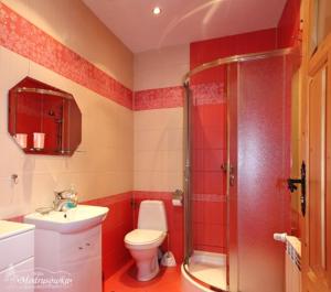 a bathroom with a toilet sink and a shower at Willa Modrysówka in Zawoja +16 photos