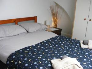 Letto o letti in una camera di Spacious Victorian Flat 3 bed, Ideal Base for Snowdonia