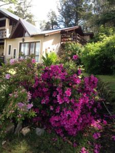 um ramo de flores roxas em frente a uma casa em EL PARAISO DEL DESCANSO em Sierra de los Padres
