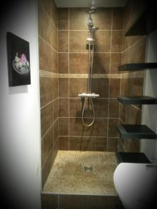 a bathroom with a shower with a shower at Au Paradis des Crins avec un studio rez de chaussée jardin et studio en duplex avec terrasse in Templeuve