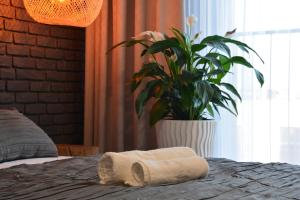 Posteľ alebo postele v izbe v ubytovaní Last Floor Apartment - Krakow City Center close to Old Town
