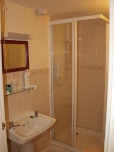 a bathroom with a shower and a sink at The Coach House in Ledbury