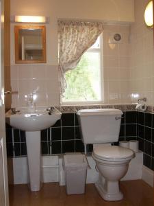 a bathroom with a toilet and a sink and a window at The Coach House in Ledbury