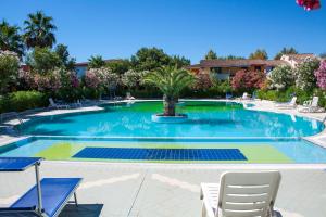 une piscine avec un palmier au milieu dans l'établissement Residence Oasi Anfiteatro, à Porto Ottiolu