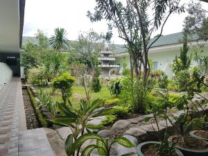 un jardín con plantas y un edificio de fondo en Komodo Boutique Hotel, en Labuan Bajo