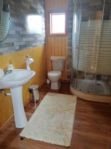 een badkamer met een toilet, een wastafel en een douche bij Cabaña Rayen in Huillinco