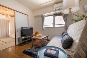 TV a/nebo společenská místnost v ubytování Uhome Akihabara Apartment 3