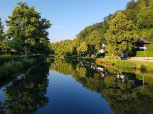 a river with trees reflecting in the water at Hotel Schiff Nagold in Nagold