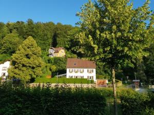 Gallery image of Hotel Schiff Nagold in Nagold