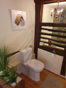 a bathroom with a white toilet in a room at Hotel & Restaurant Sonnenhöfle in Sommerhausen