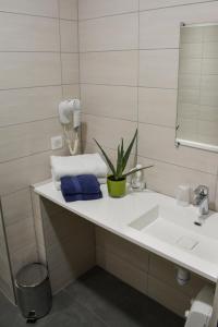 a bathroom with a sink and a mirror at Sud Hotel in Huttenheim