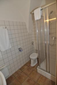 a bathroom with a toilet and a shower at Gästehaus Einzinger in Krems an der Donau