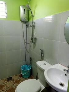 a bathroom with a toilet and a sink at Alona Guest House in Panglao