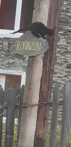 Certifikát, hodnocení, plakát nebo jiný dokument vystavený v ubytování Guesthouse Robinzon Lalkhori