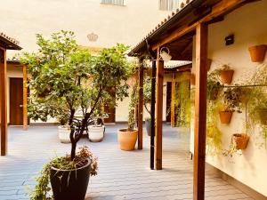 Ogród w obiekcie Hotel Palace Sevilla
